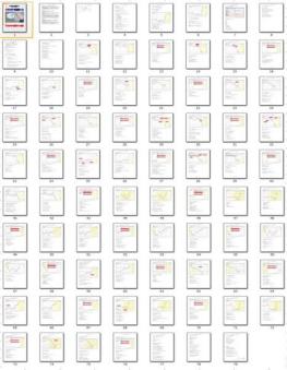 smile様　確認用 FX】ゴールデンスパイダーFX進化論活用マニュアル【PDF】 FXは