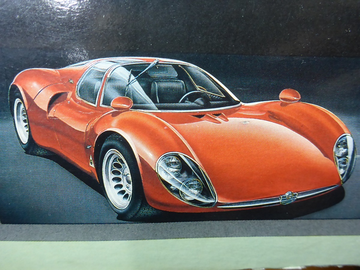 FUJIMI】Alfa Romeo Tipo 33 アルファロメオ ティーポ33 ( フジミ