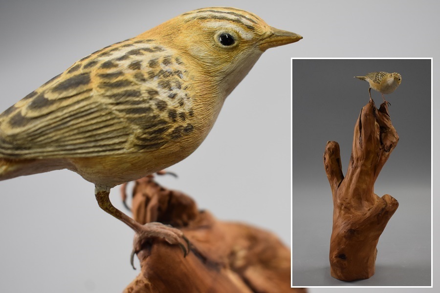 木造彫刻 鳥 置物 高35cm バードカービング 細密細工 木彫 古美術品[c8]