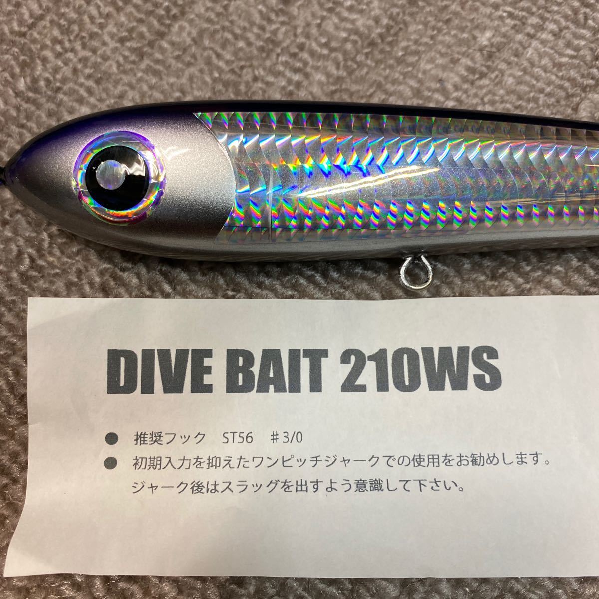 ローカルスタンダード ダイブベイト210ws② ローカルスタンダード