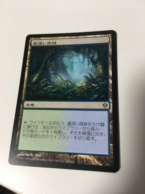MTG ZEN 霧深い雨林 日本語 即決 nB136o [人気] MTG 霧深い雨林 Misty