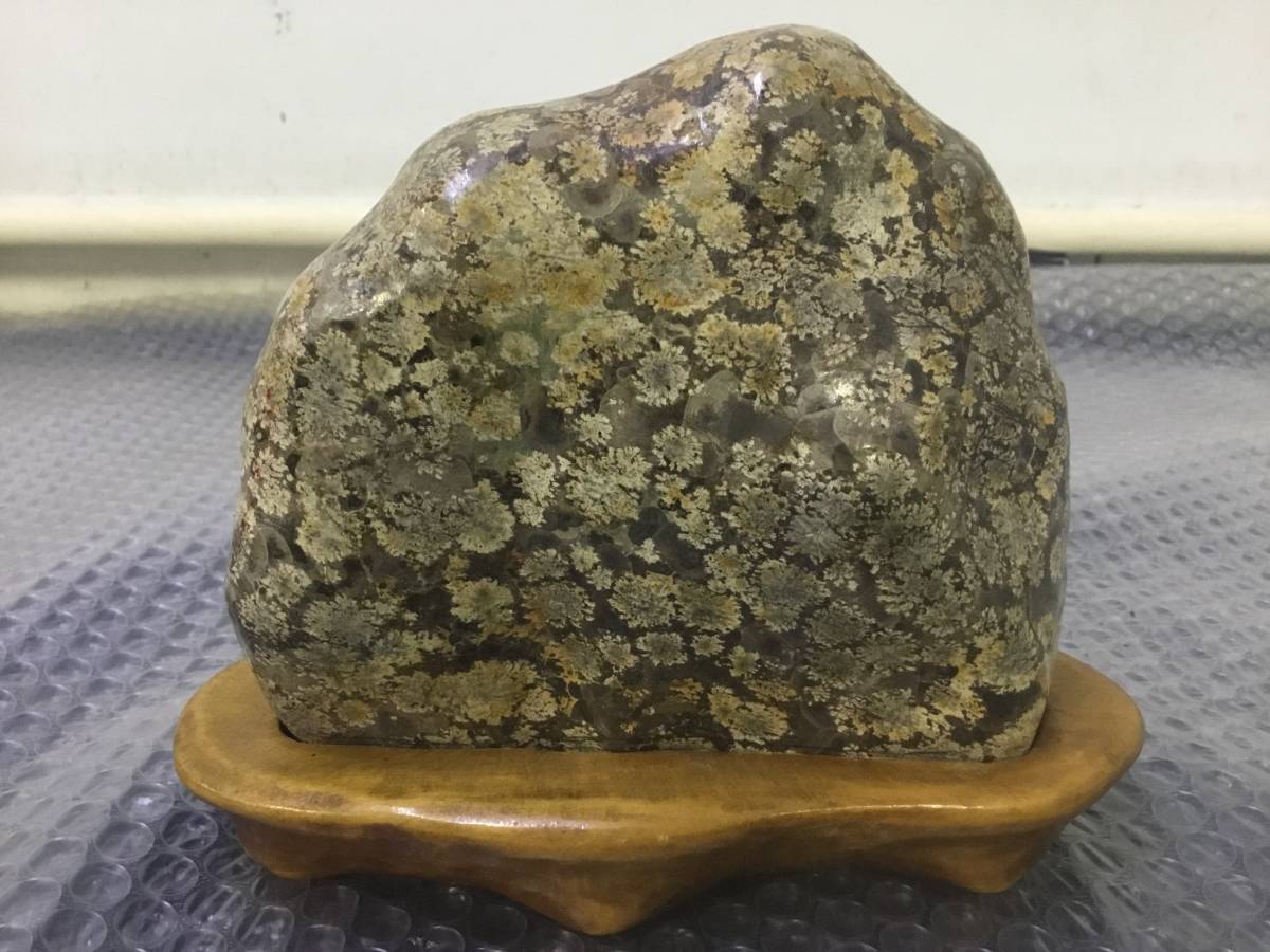 鑑賞石 菊花石 天然石 置物 自然石 公式通販 水石 盆石 台座付 木製台座