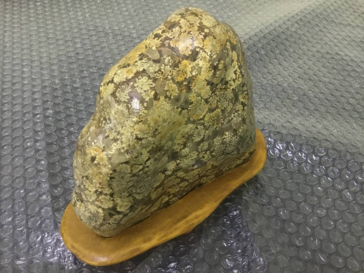 鑑賞石 菊花石 天然石 置物 自然石 公式通販 水石 盆石 台座付 木製台座