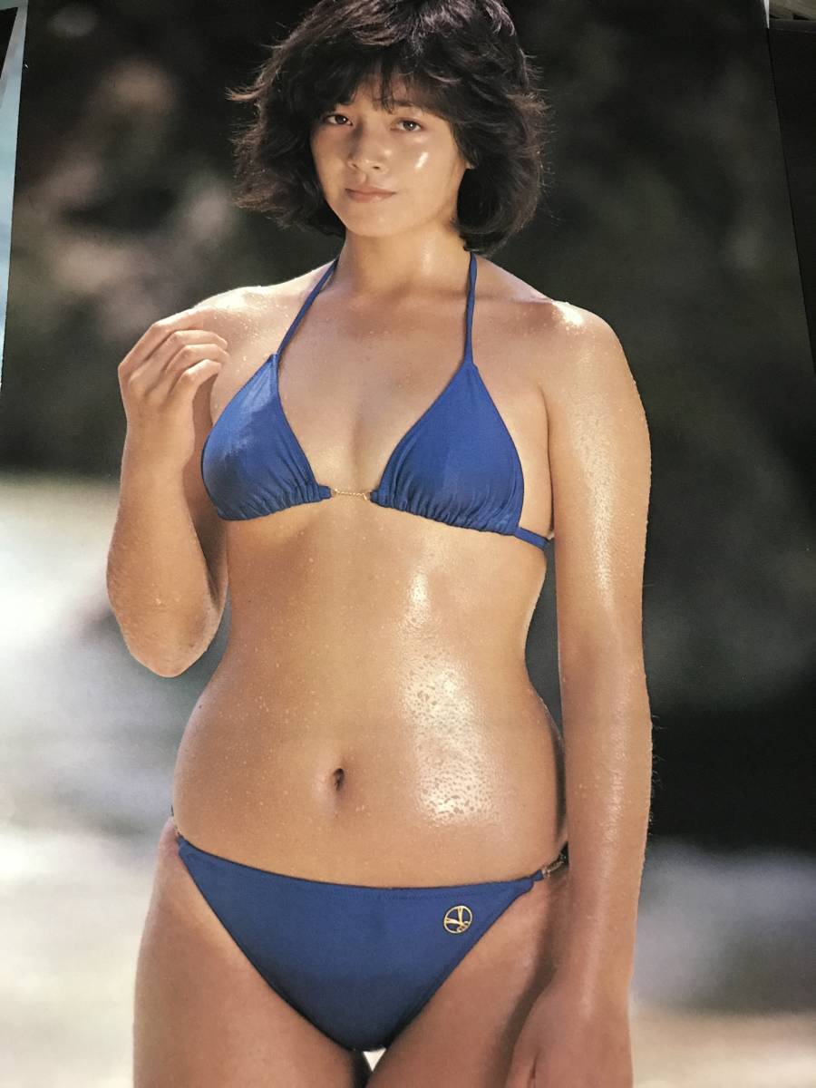 当時物 柏原よしえ 柏原芳恵 さん 12ページ 雑誌グラビア写真集等切り抜き 巨乳美尻超ハイレグビキニ H D 34 同梱可能 タレント 売買されたオークション情報 Yahooの商品情報をアーカイブ公開 オークファン Aucfan Com