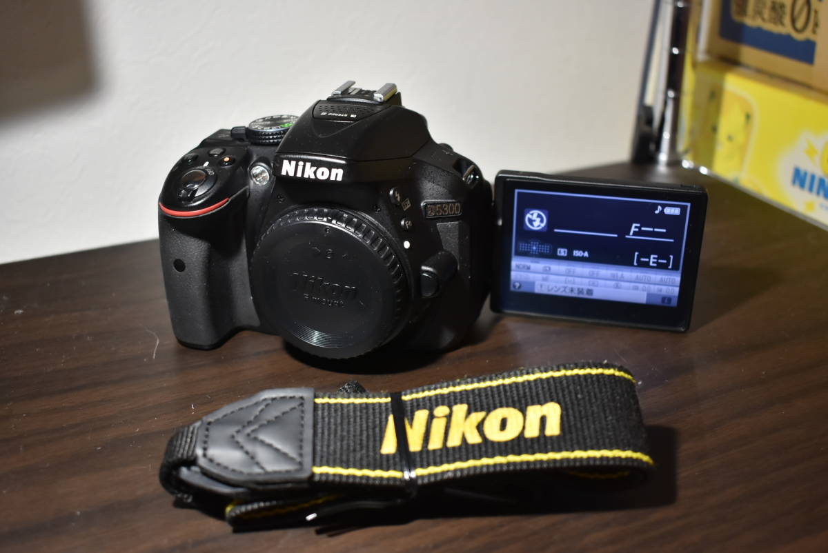 D5300 ボディ Nikon ショット数少ない良上品 元箱付きボディ CMOS MP 