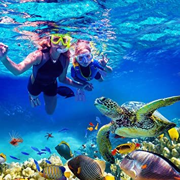 | TOURER) リーフツアラー(REEF スノーケリングベスト REEFTOURER(リーフツアラー) シュノーケリング ライフジャケット・フローティングベスト 旅行向け 子供用 折り畳み式 コンパクト インフレータブル RA0408BKPXS-S シュノーケリングベスト フィン rp0103の通販