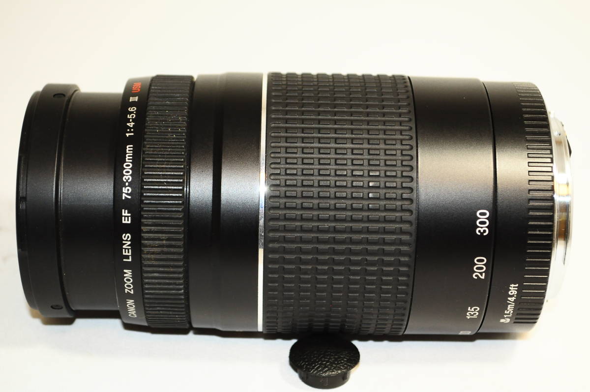 極上品☆迫力の300mm☆フード付☆キャノン Canon EF75-300 フード付