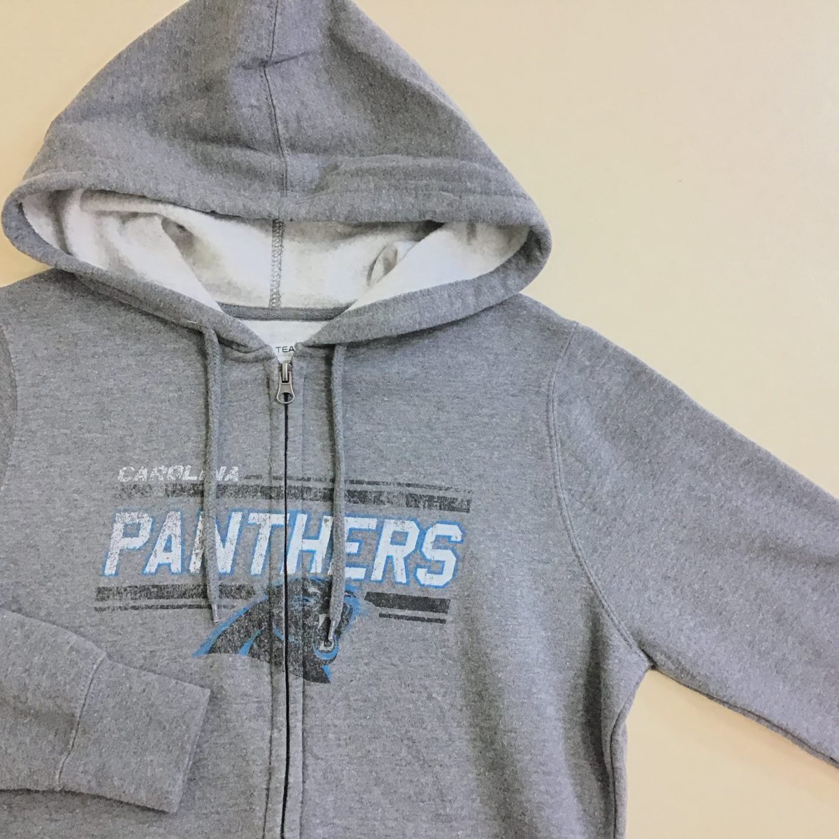カロライナ・パンサーズ スウェット NFL 激レア90s 刺繍ロゴ 黒 