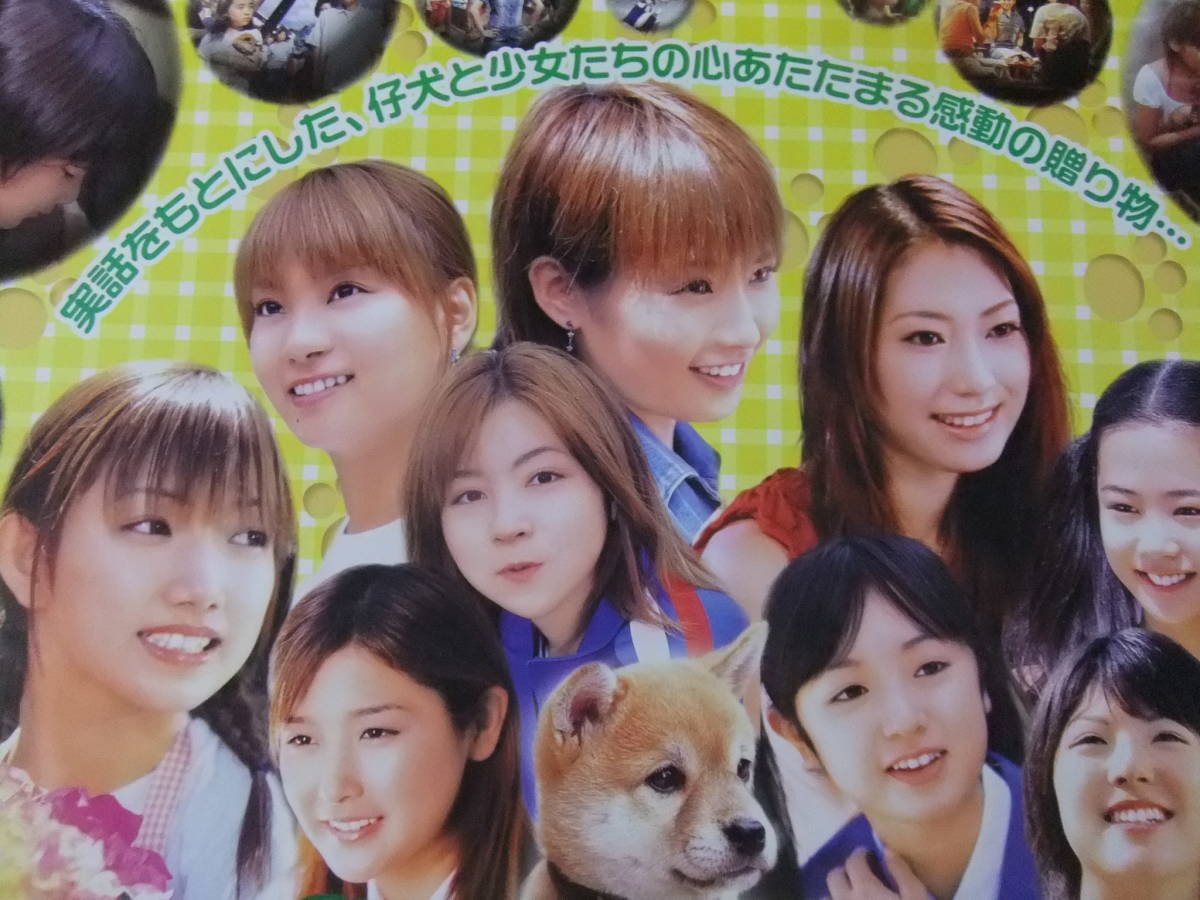 P8680/邦画ポスター/ モーニング娘 / 仔犬ダンの物語/ミニモニ THE