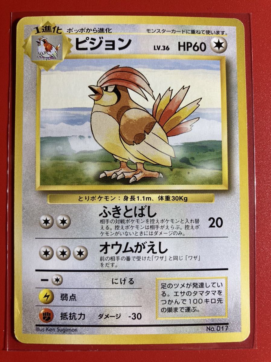 ポケモンカード 第1弾 ピジョン 旧裏面 初版 マーク無し 旧裏 初版