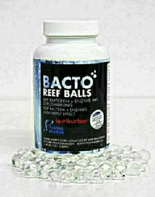 リピート多数サンゴ 魚に安全 新製品 ゼリー状ボール型 最新 バクテリア Bacto Reef Balls 硝酸塩 リン酸塩除去 藻類 腐臭軽減 バクテリア 売買されたオークション情報 Yahooの商品情報をアーカイブ公開 オークファン Aucfan Com