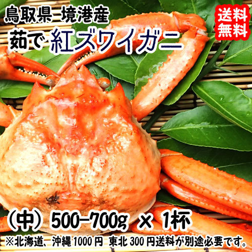 【本物保証，100%新品】 鳥取 境港 紅ズワイガニ 中 500-700g1杯 浜茹 直送 そのまま 鍋 焼いて サラダ 宇和海の幸問屋(ズワイガニ)｜売買されたオークション情報、yahooの商品情報をアーカイブ公開 - オークファン ズワイガニ