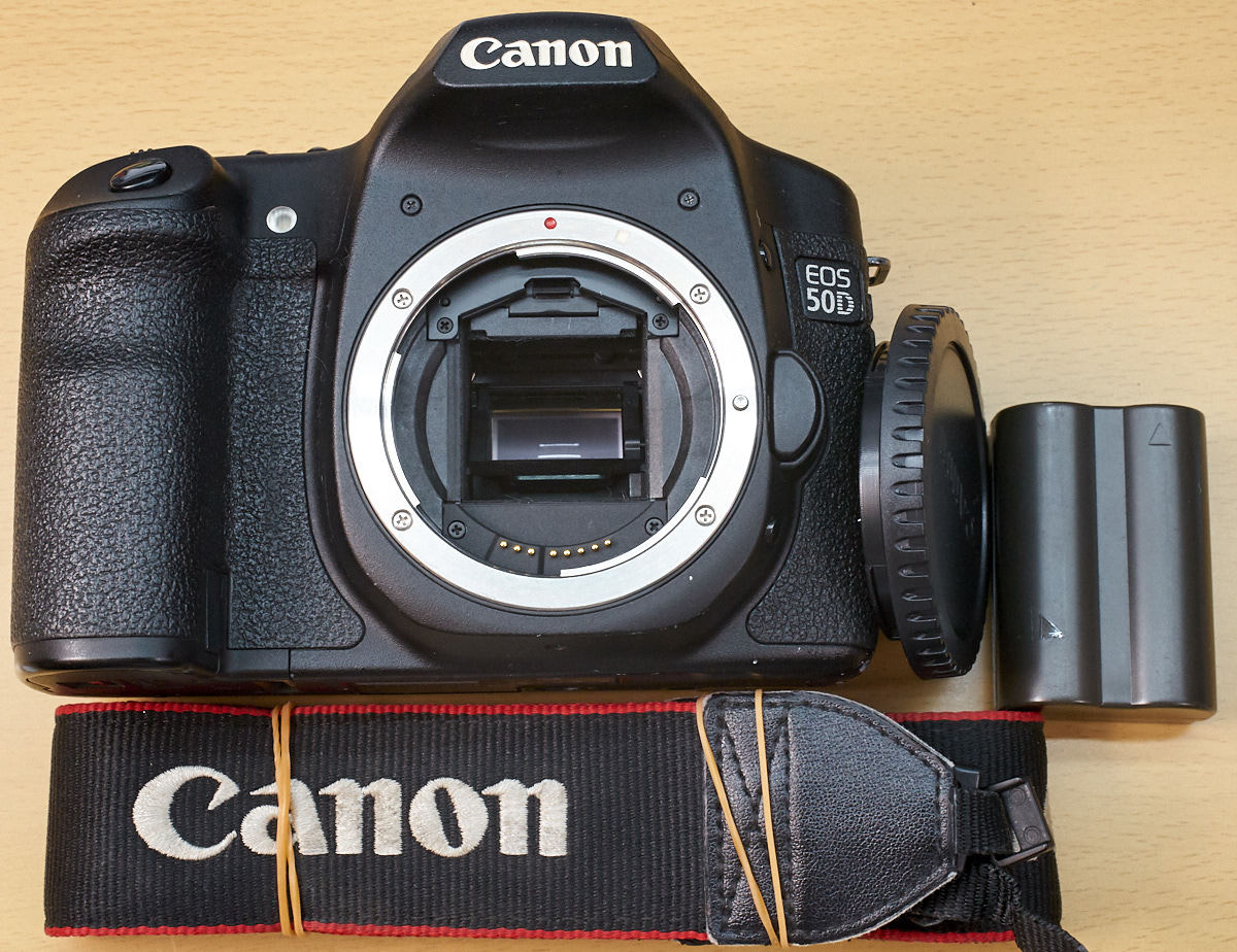 キヤノン EOS 50D (22) 55879ショット 完動・撮影OK キャップ