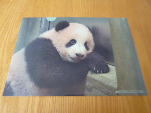 送料無料★非売品★上野動物園 パンダ シャンシャン 香香 誕生記念 クリアファイル★パルコヤ×松阪屋上野店★未使用_1