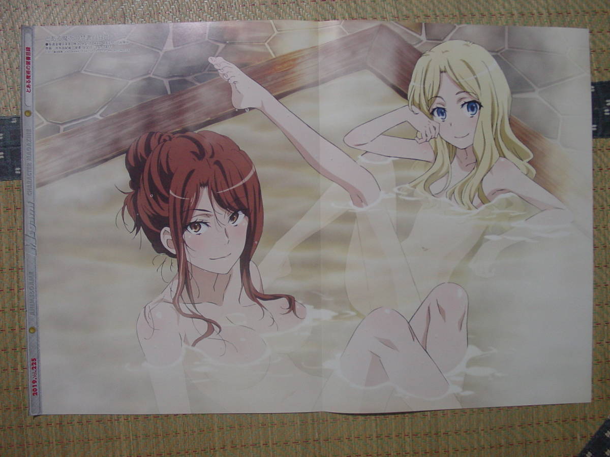 とある魔術の禁書目録 麦野沈利 フレンダ お風呂 ソードアート オンライン ソルティリーナ セルルト 両面ピンナップポスター コミック アニメグッズ 売買されたオークション情報 Yahooの商品情報をアーカイブ公開 オークファン Aucfan Com