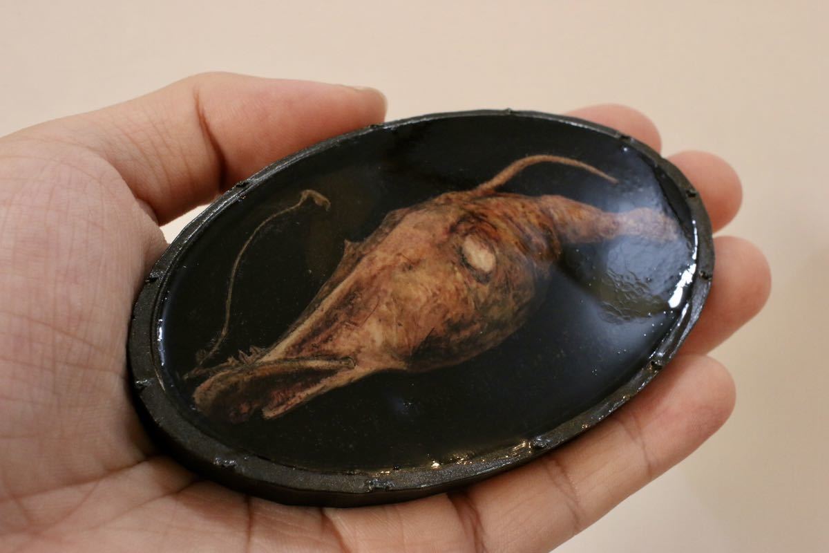 深海魚 水中 ラシオグナサスアンフィランファス 立体模型 アンフィ合同会社作成 海水魚 売買されたオークション情報 Yahooの商品情報をアーカイブ公開 オークファン Aucfan Com