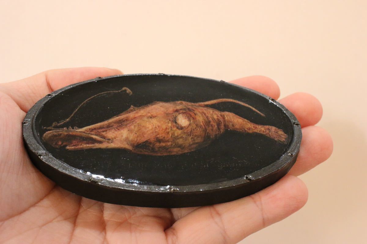 深海魚 水中 ラシオグナサスアンフィランファス 立体模型 アンフィ合同会社作成 海水魚 売買されたオークション情報 Yahooの商品情報をアーカイブ公開 オークファン Aucfan Com