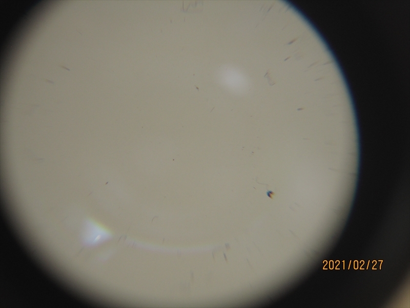 HORSEMAN　ホースマン ピントルーペ _8