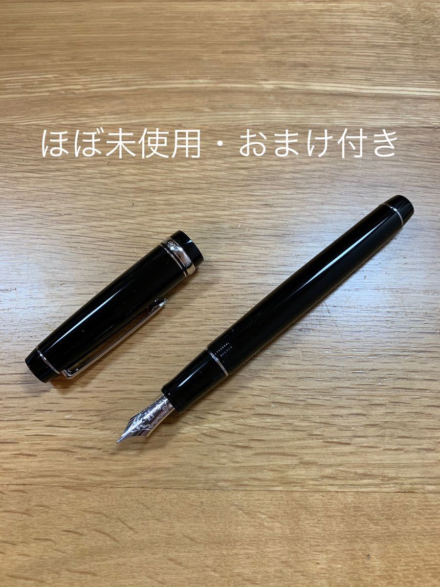 PILOT パイロット 万年筆 カスタム74 カスタムヘリテイジ91 Mニブ(中字