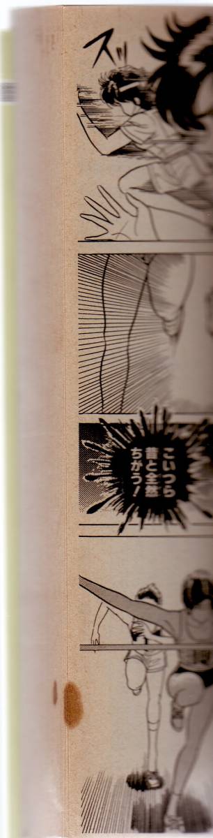 ミアフィールドの少女 アニー ひらまつつとむ短編集(少年)｜売買された  