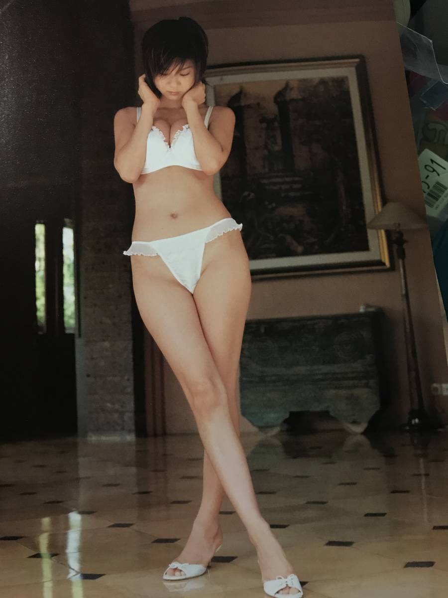 ほしのあきさん 当時物雑誌グラビア写真集等切り抜き 10ページ 超ハイレグビキニ下乳セクシーランジェリー D 35 タレント 売買されたオークション情報 Yahooの商品情報をアーカイブ公開 オークファン Aucfan Com