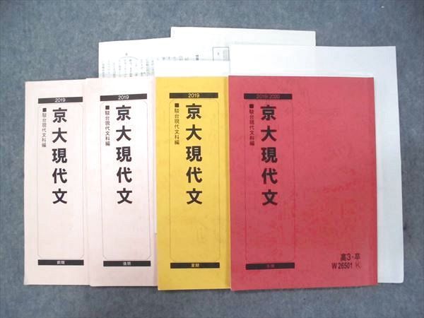 大阪大学への英語 実戦模試演習 駿台 3冊セット 2021,2016,2010 本 大阪大学への英語 実戦模試演習 駿台 3冊セット 2023,2018,2012