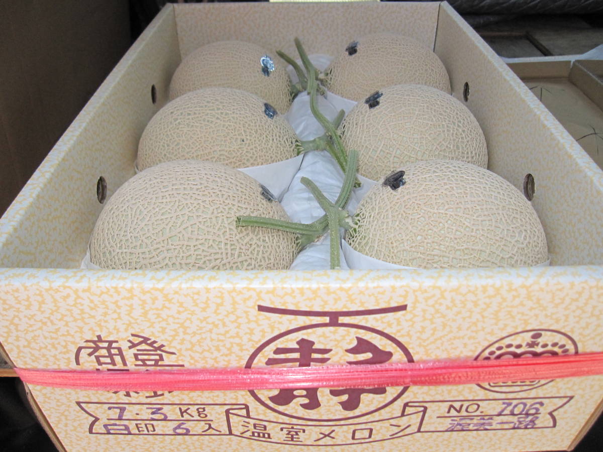 ★☆【実験店舗】静岡クラウンメロン”白”7.3ｋｇ訳あり706☆★