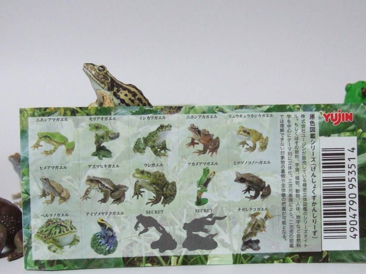 原色両生類カエル図鑑 : 新改訂版 カエル図鑑 〓ユージン〓原色両生類 