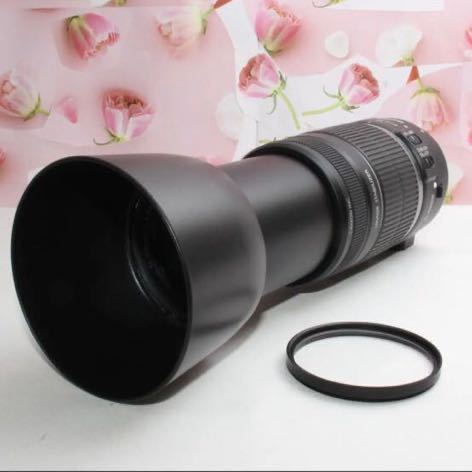 ❤️Canon用マウントアダプター＆EF-S 55-250 mm IS II❤️ Canon用マウントアダプター＆EF-S 55-250 mm IS IS mm 55-250 Support II