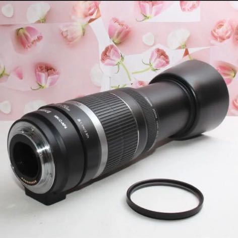 Canon用マウントアダプター＆EF-S 55-250 mm IS IS mm 55-250 Support II