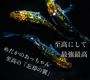 忘却の翼のヤフオク の相場 価格を見る ヤフオク の忘却の翼のオークション売買情報は932件が掲載されています