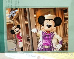 ディズニースペシャルフォトの平均価格は3 198円 ヤフオク 等のディズニースペシャルフォトのオークション売買情報は10件が掲載されています