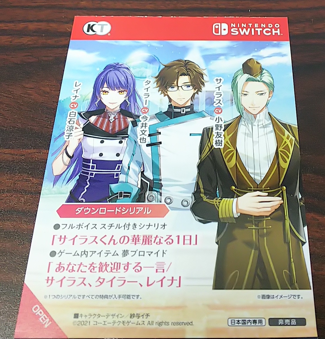 E02-7099 Switchソフト アンジェリーク ルミナライズ 【公式通販】