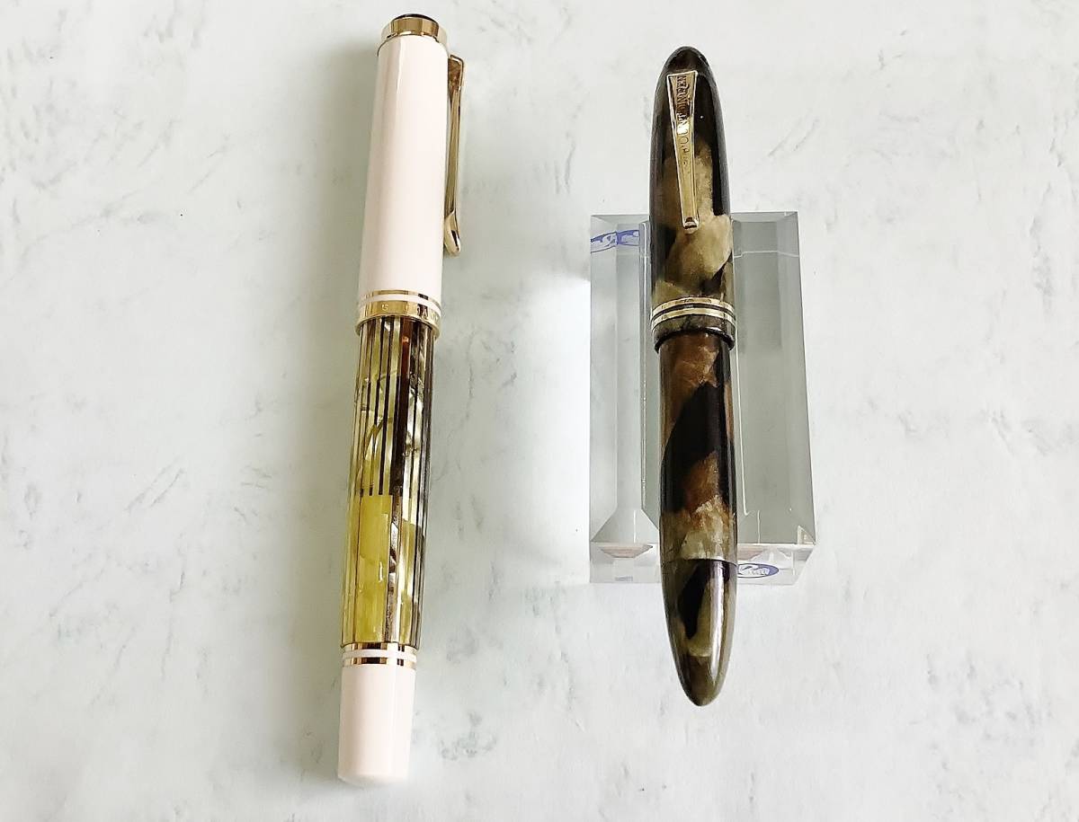 WARRANTED 万年筆 14K インク止め式万年筆 ワランテッド 2本セット