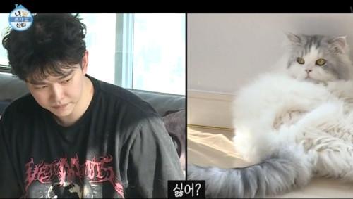シングル男のハッピーライフ ユン ギュンサンと猫 Dvd 売買されたオークション情報 Yahooの商品情報をアーカイブ公開 オークファン Aucfan Com
