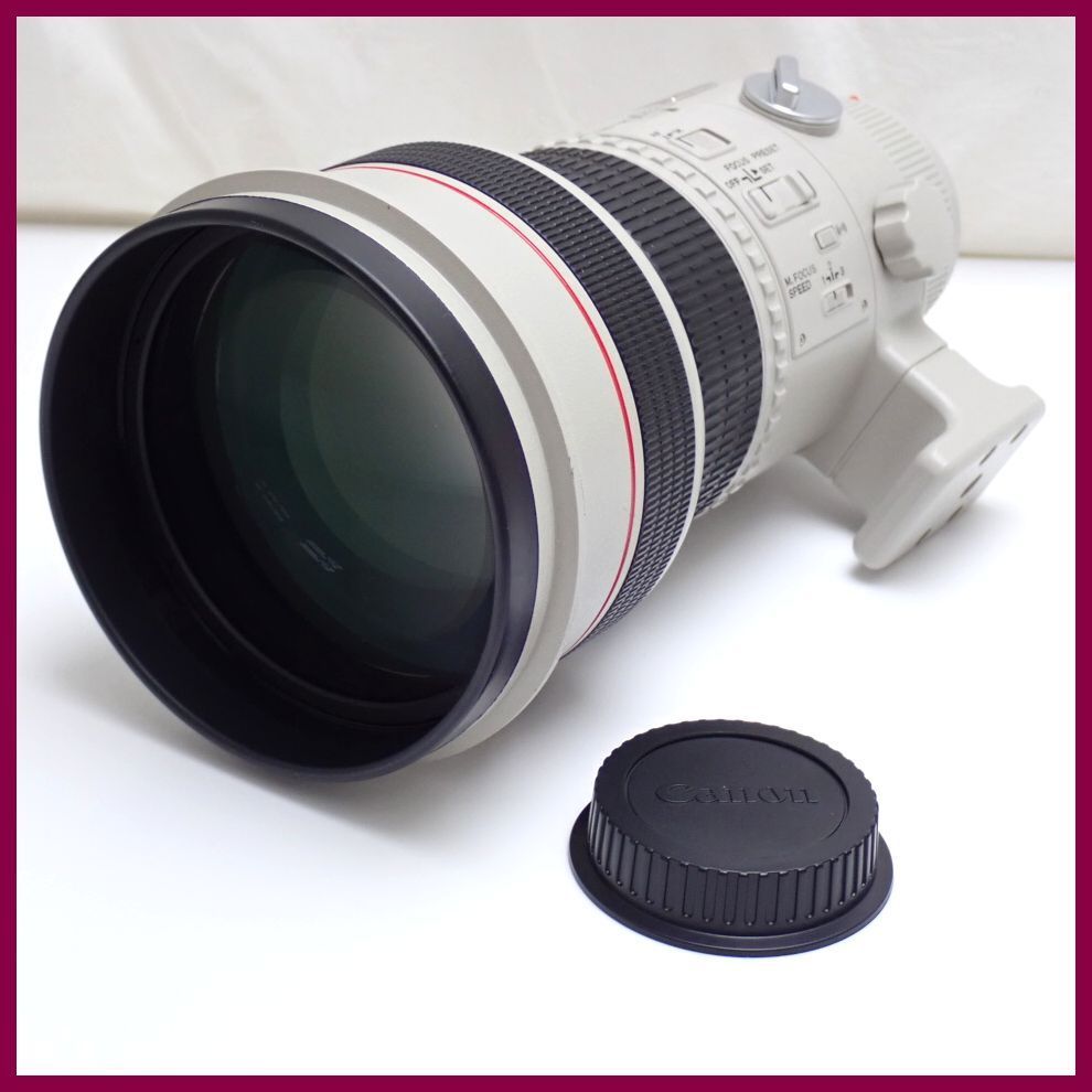 【格安】Canon EF 20-35mm f/3.5-4.5 ズームレンズ キャノンズームレンズ EF 100-400mm F1.4-5.6 L IS ULTRASONIC