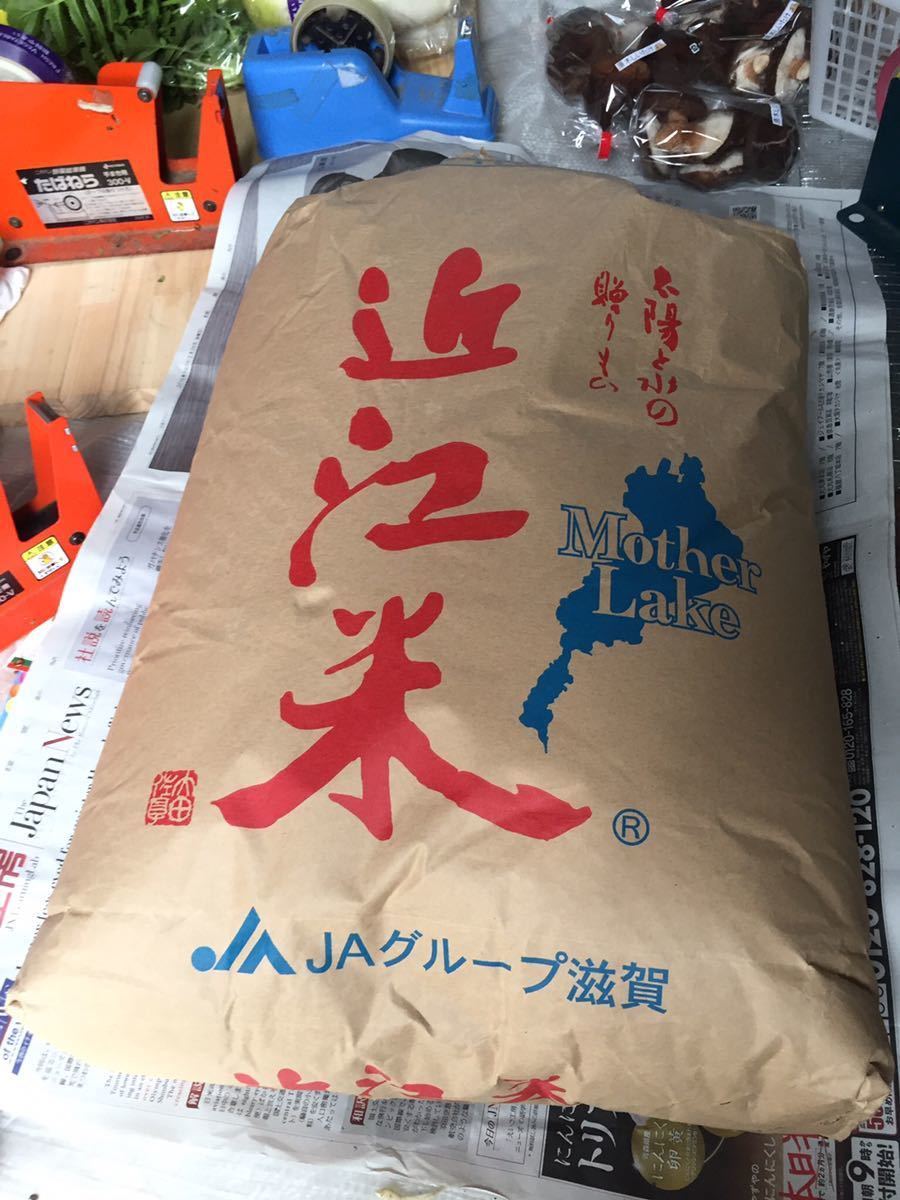 玄米30kg 近江米 令和2年産 コシヒカリ 令和7年産近江米コシヒカリ