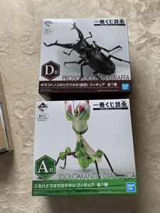 ヤフオク のおもちゃ ゲーム カルチャー クワガタの相場 価格を見る ヤフオク のクワガタ のオークションのおもちゃ ゲーム カルチャー売買情報は511件が掲載されています