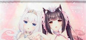 ネコぱら タペストリーのYahoo!オークション(旧ヤフオク!)の相場・価格 