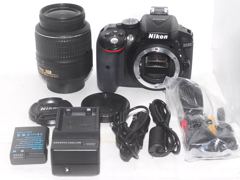 ★極上美品★ NIKON ニコン D5300 18-55 レンズセット #000314
