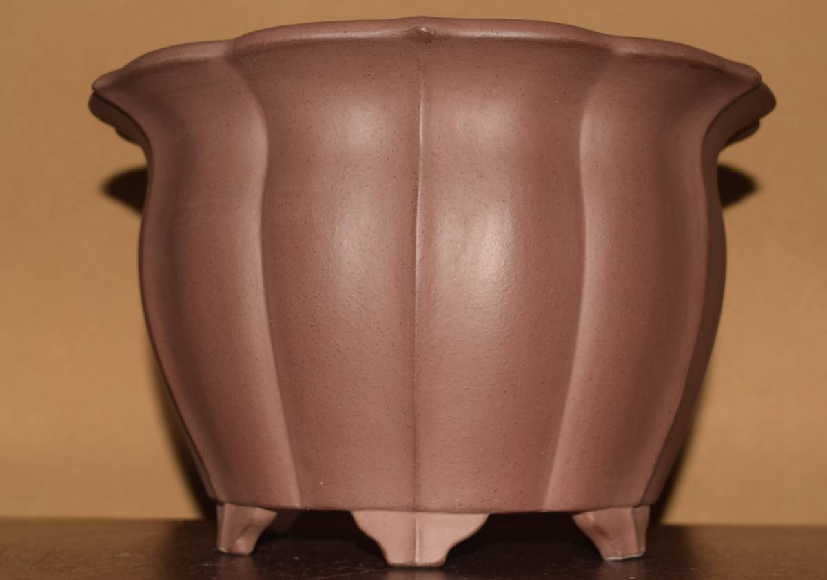 盆栽 【】盆栽鉢 常滑 誠山 小型 長辺 約 19cm 長方鉢 縁付