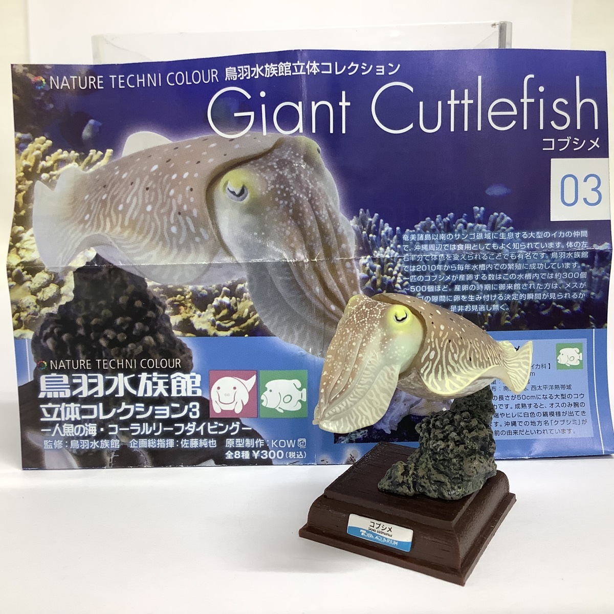 ネイチャーテクニカラー コブシメ 鳥羽水族館 ネイチャーテクニカラー