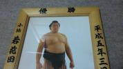 大相撲優勝額ミニチュア版　平成5年3月場所　小結　若花田_1