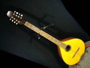 MUSIKALIA Dr.Leone Bouzouki フラット アイリッシュ ブズーキ(弦楽器
