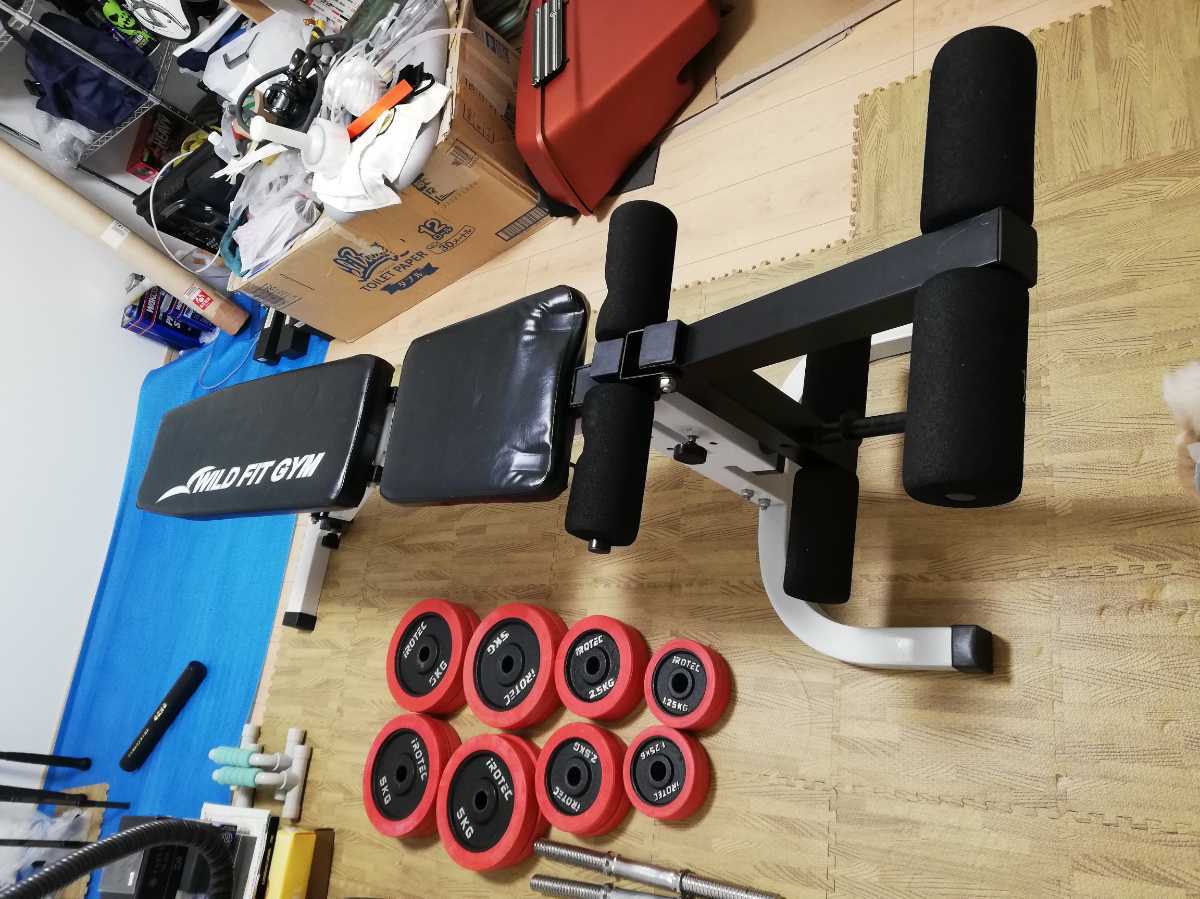 可変式ダンベル　22.5kg (2/2) ボウフレックス ダンベルスタンド ボウフレックス ダンベル 24キロ