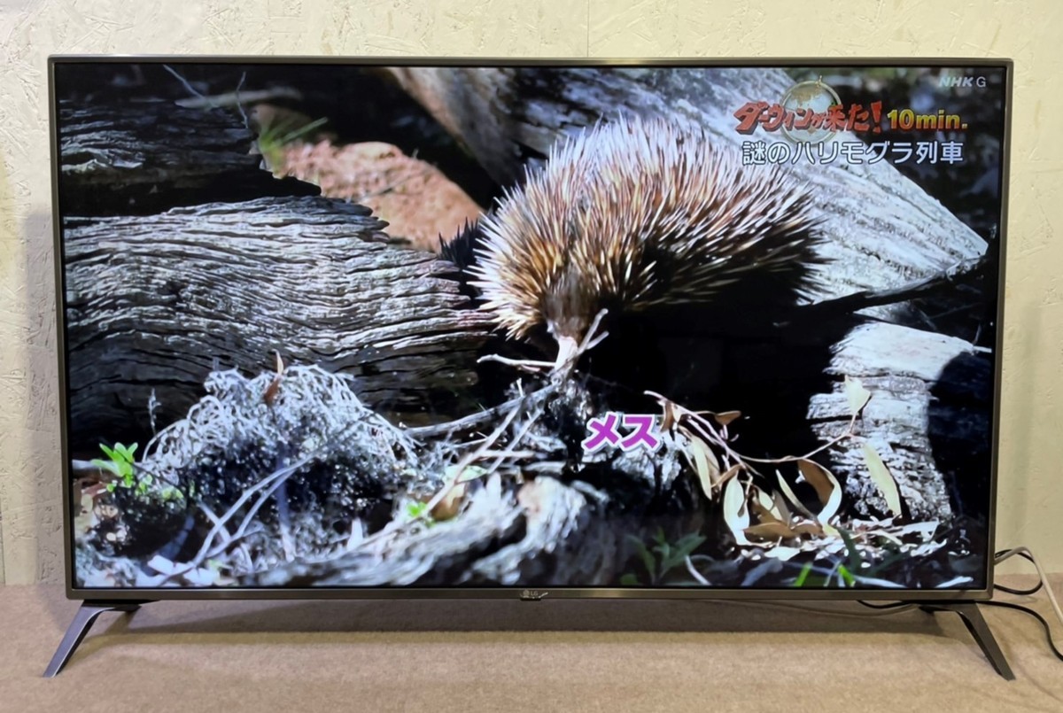 LG 液晶テレビ - 55型 | スタンド付き 2018年製 4K対応 Japan 55UJ6100 