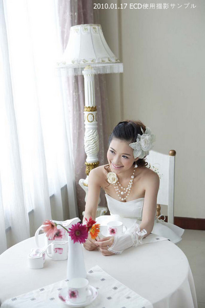 プロ級高品質ECDストロボ 300W 2灯/500W 1灯 計3灯SoftBoxセット_3