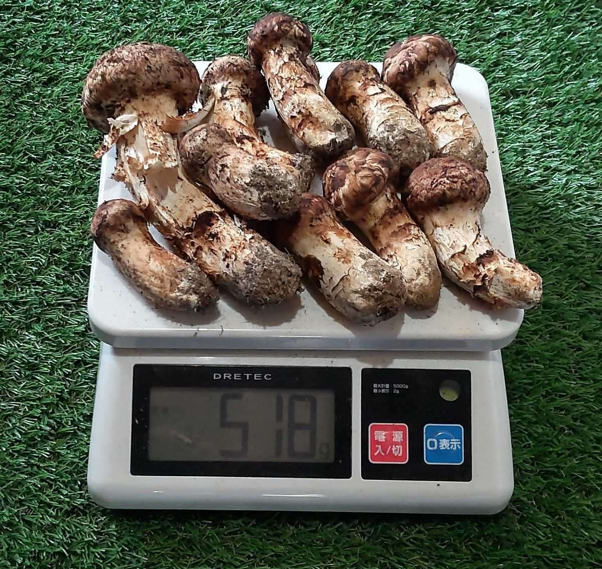 11/27 掘り立て 天然自然薯2.5キロ 鹿児島産 野生の滋味 ふるさと納税