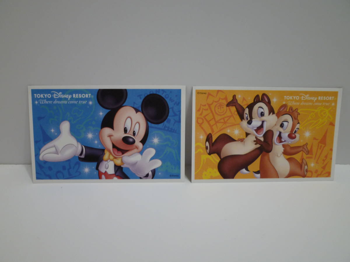 NEW♪東京ディズニーリゾートパークチケット スポンサーパスポート 2枚セット