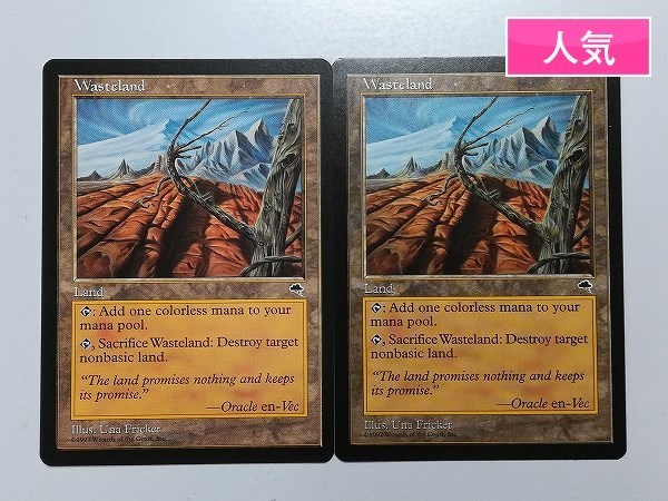 sD249o [人気] MTG 不毛の大地 Wasteland TMP 土地 U テンペスト 英語